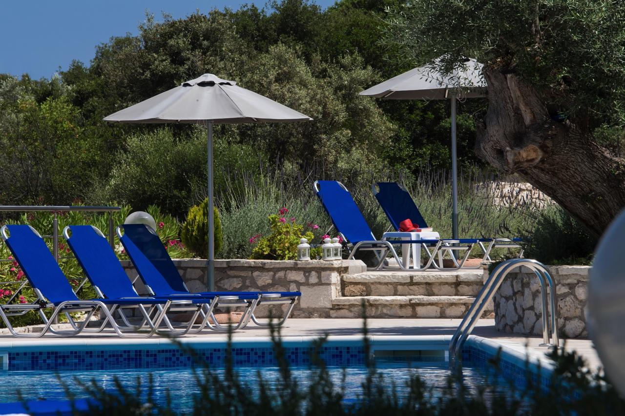Villas Amantea- Four Villas With Big Pool And Infinity Pool Sivota  Bagian luar foto