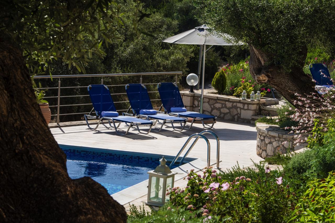 Villas Amantea- Four Villas With Big Pool And Infinity Pool Sivota  Bagian luar foto